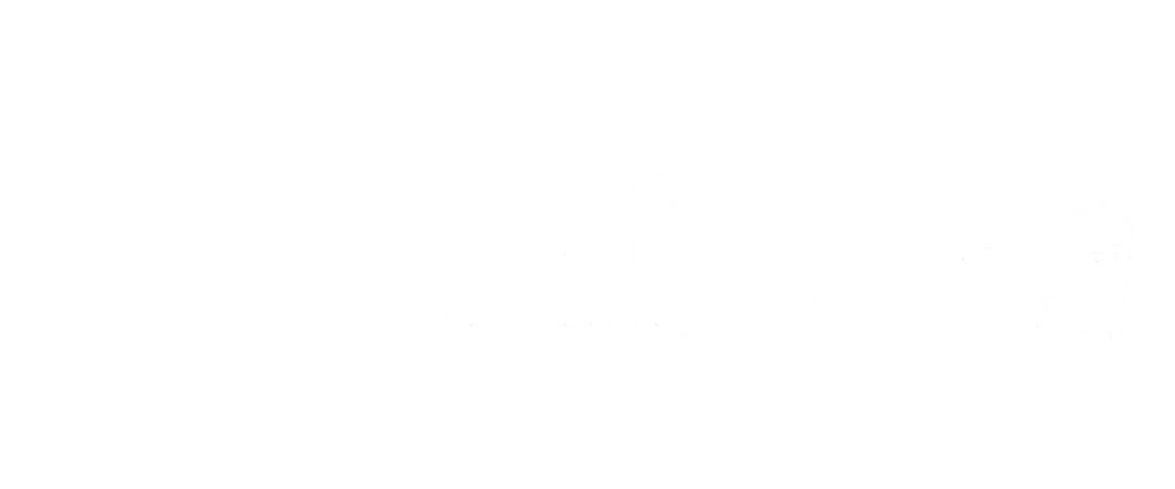 autos.pikix.ng Logo
